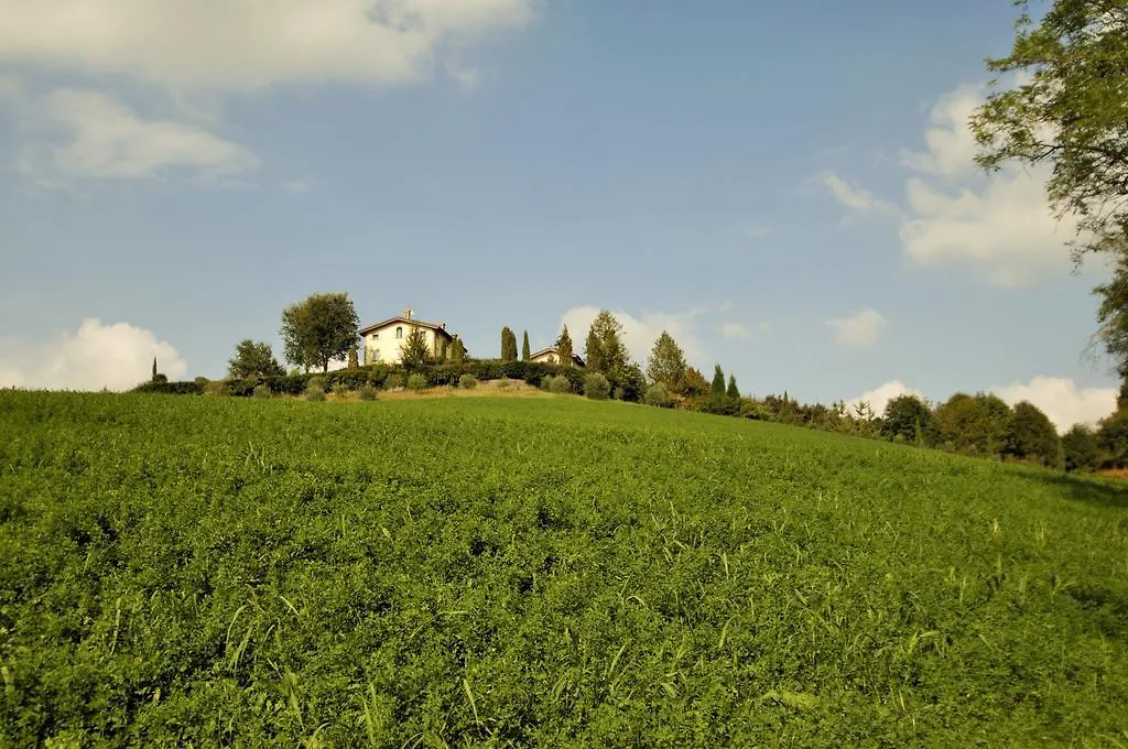 La Vedetta Bed And Breakfast Castelvetro di Modena Włochy